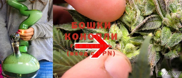 амф Бронницы
