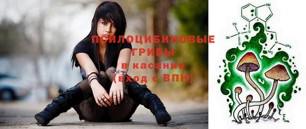 МДМА Бородино