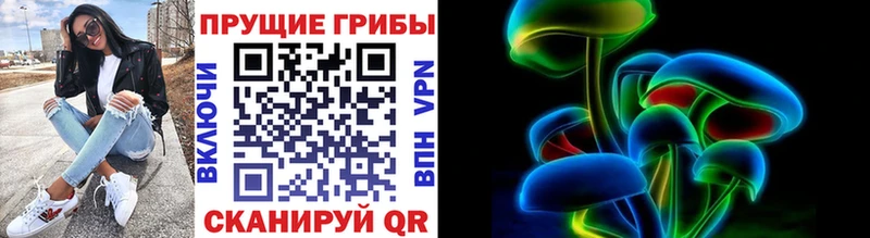 Псилоцибиновые грибы Cubensis  Обь 